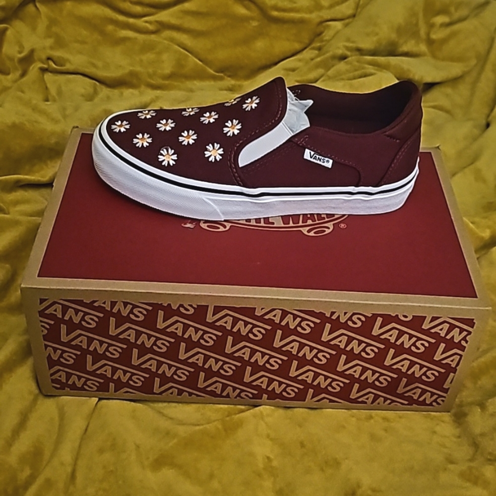 Brand New Vans Asher Deluxe
